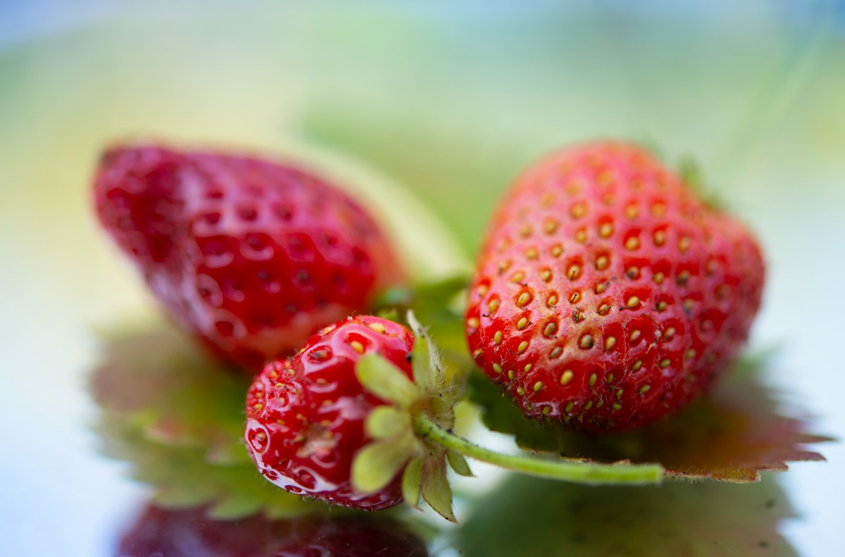 Nutrición equilibrada y alimentos saludables